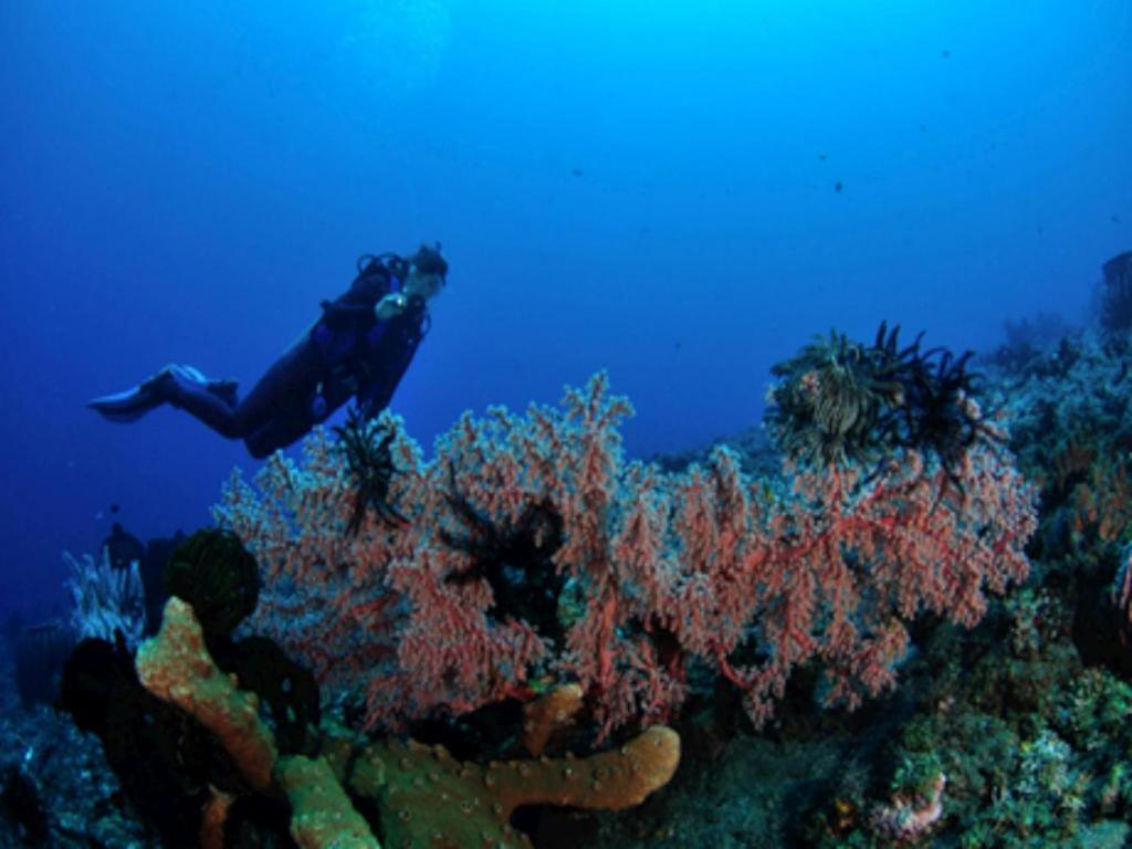 Tulamben Wreck Divers Resort & Restaurant Eksteriør billede
