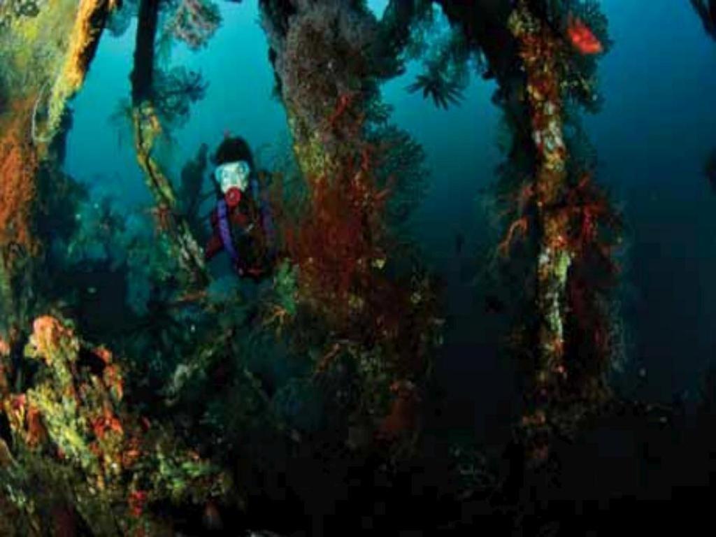 Tulamben Wreck Divers Resort & Restaurant Eksteriør billede
